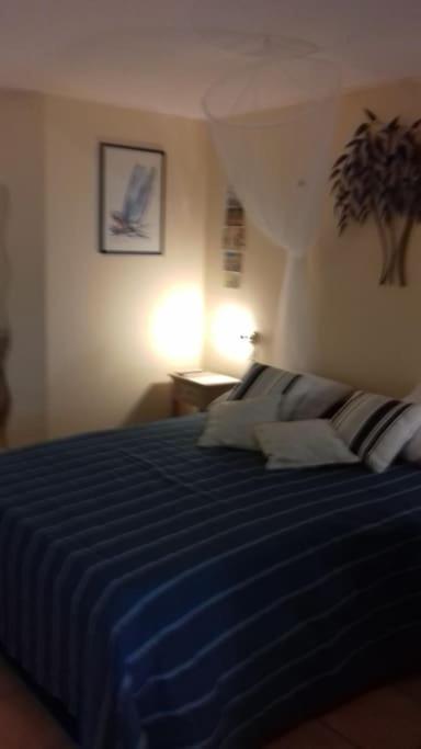 Studio Le Balisier Caritan Екстер'єр фото